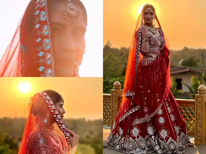 Arti Singh Wedding Dress