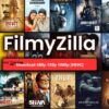 Filmy zilla