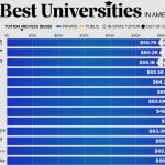 top universities in the USA