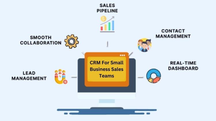 best 5 CRM for small businesses